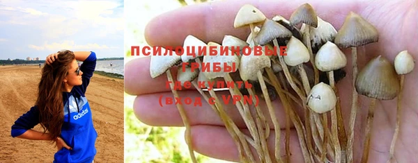 MESCALINE Аркадак